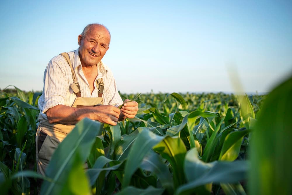 Agriculteurs : comment choisir un pantalon de travail résistant mais léger pour l’été ?